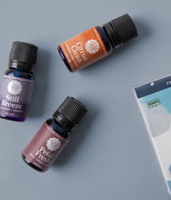Load image into Gallery viewer, The Laundry Essential Oil Collection
