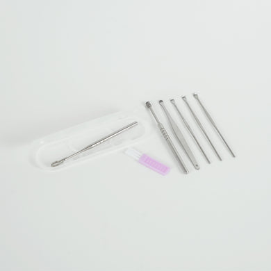 Stainless Steel Ear Wax Removal Tool Kit